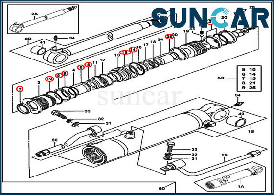 주문 0843613 암 씰링 키트 Deere 실린더 씰 수리 키트 JOHN DEERE 50ZTS 35ZTS에 적합 online manufacture